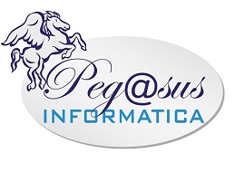 Pegasus Informatica Srl
