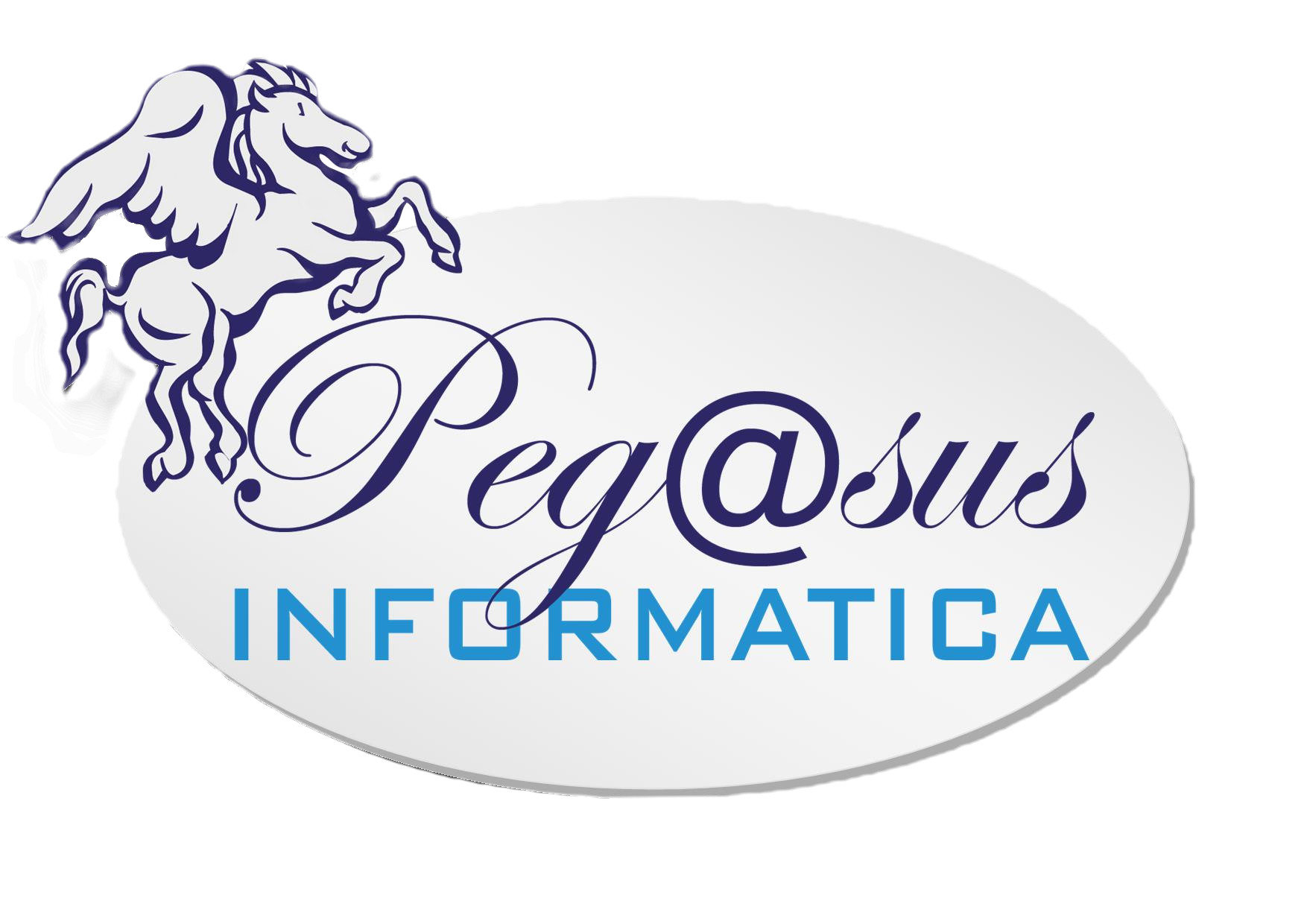 Pegasus Informatica Srl